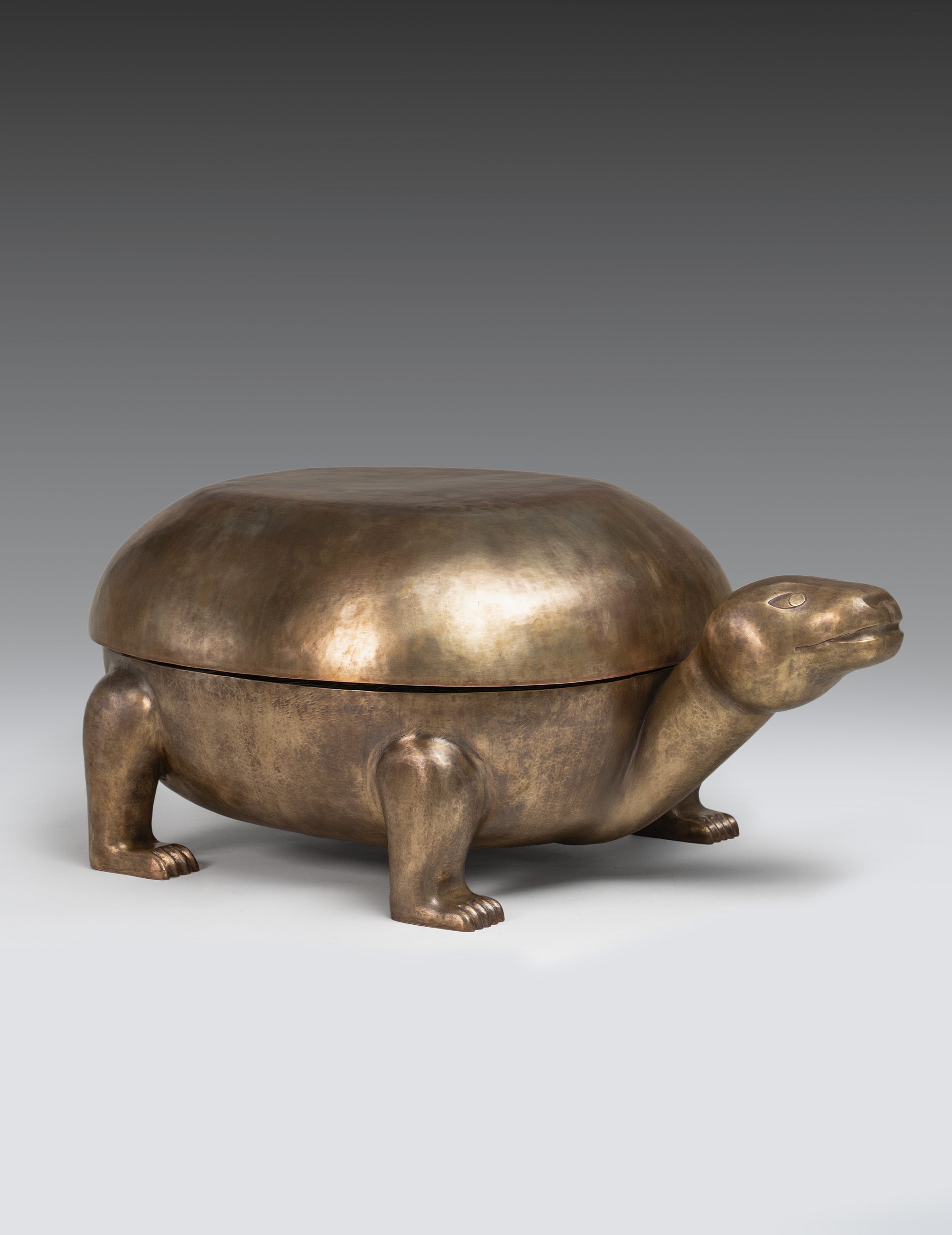 Kurma | The Tortoise